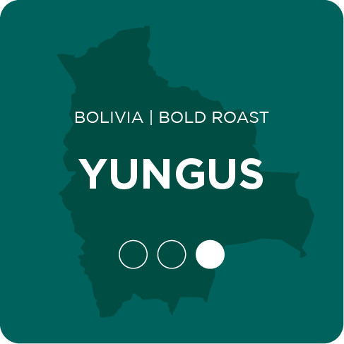 Yungus | Bolivia | Alternative Grounds Coffee Roasters