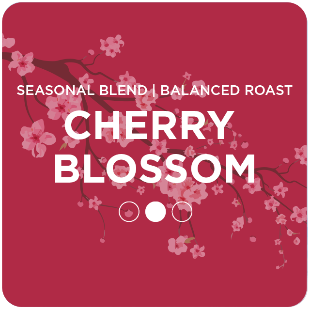 Seasonal Blend | Cherry Blossom | Balanced Roast | Alternative Grounds Coffee Roasters