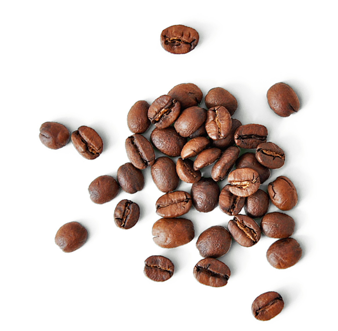 peaceandpeaceページ Chiapas, Mexico Single Origin Mild Roast | Alternative Grounds