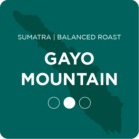 Gayo Mountain | Sumatra | Balanced Roast | Alternative Grounds Coffee Roasters