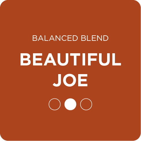 Beautiful Joe | Balanced Blend | Alternative Grounds Coffee Roasters