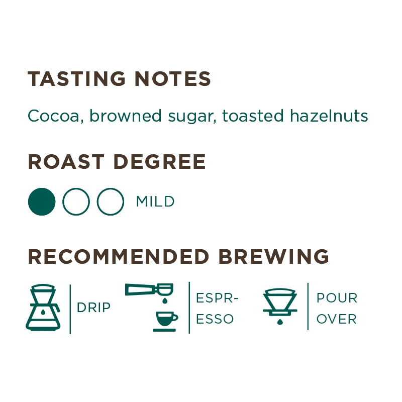 Chiapas, Mexico Single Origin Mild Roast | Alternative Grounds