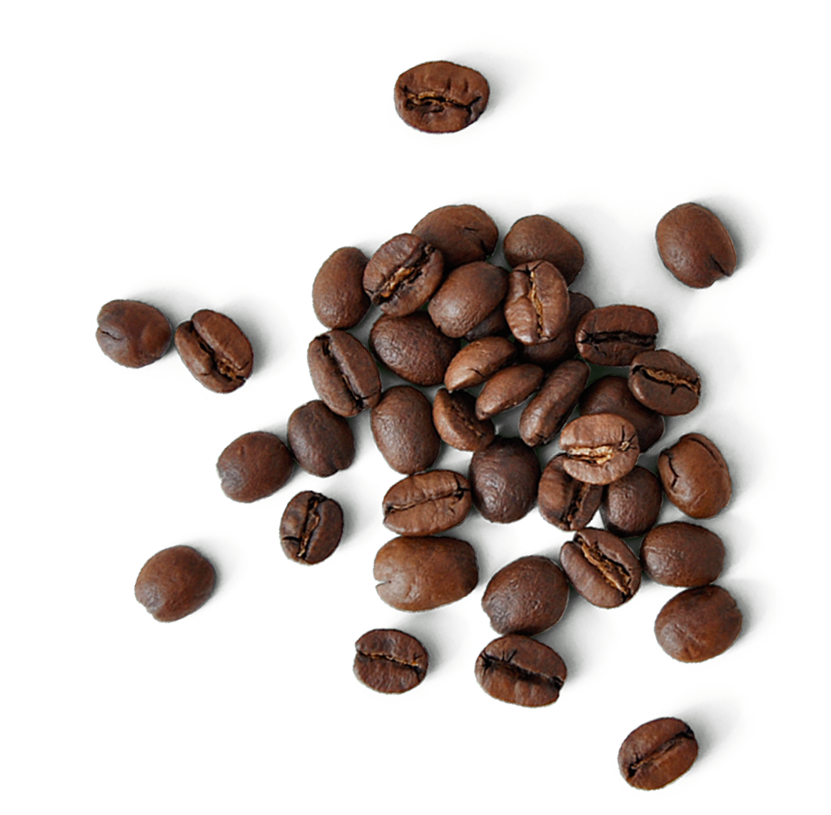 Beautiful Joe Balanced Signature Coffee Blend Alternative Grounds